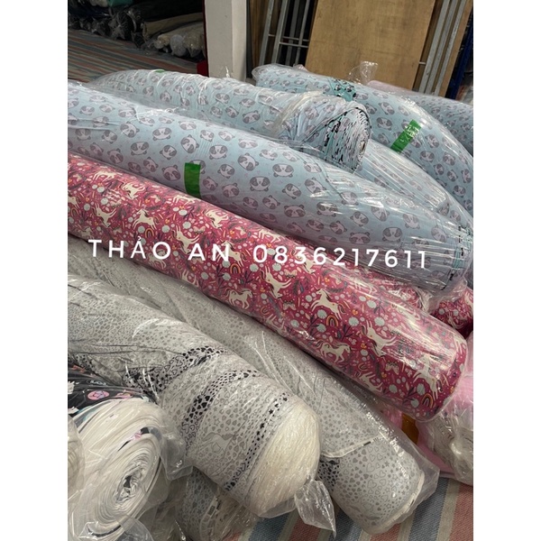 Quần đùi nữ mặc ở nhà chất quần cotton co giãn quần ngủ mặc ở nhà thoải mái