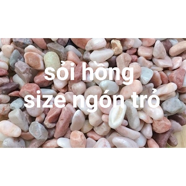 Nhiều màu - Nhiều size ] Đá sỏi trang trí sân vườn , hồ cá, HỒ THỦY SINH, BỂ CÁ