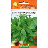 HẠT GIỐNG CÁC LOẠI RAU GIA VỊ HÚNG/ BASIL/ BẠC HÀ  - 1 Gói