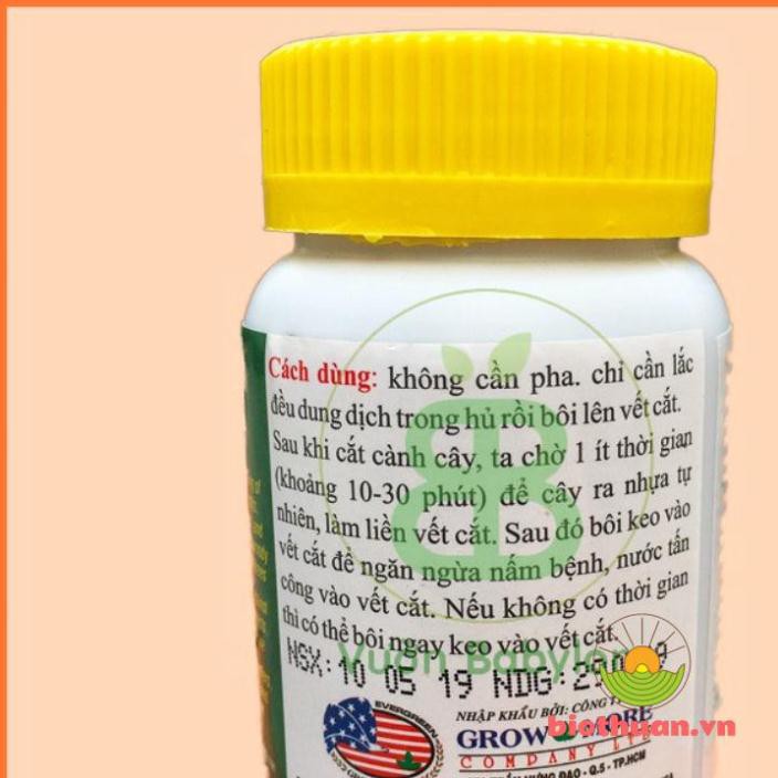 Keo trét cây sứ Keo Liền Da Mỹ Morrison 100g