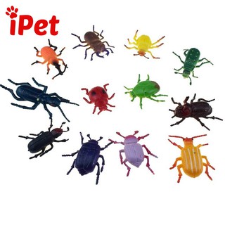 [Mã FMCG10K giảm 10K đơn 20K] Đồ Chơi Côn Trùng Cao Su Cho Mèo Vớn Bắt - iPet Shop