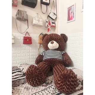 gấu tedy 1m6