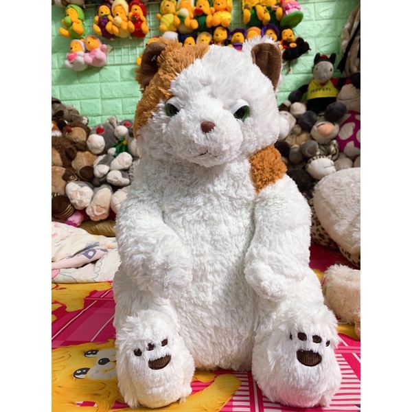 Gấu cừu thông minh