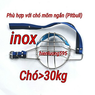 Rọ mõm chó inox cho chó mõm ngắn (Pitbull)