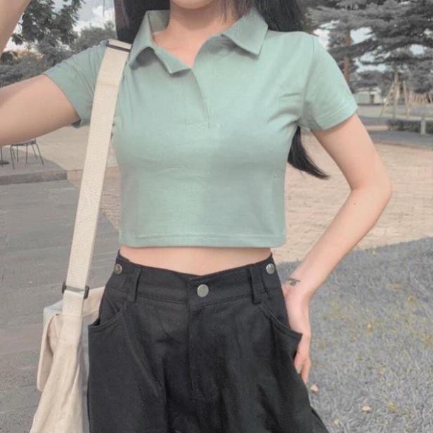 Áo Croptop Polo Basic Dáng Ôm Nhẹ Chất Liệu Thun Mềm 40-45kg Bao Đẹp Chapi CP06 | BigBuy360 - bigbuy360.vn