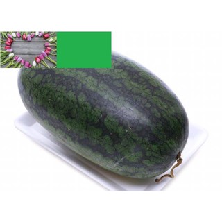 🌟HẠT GIỐNG DƯA HẤU🌟HẮC MỸ NHÂN F1 QUẢ SIÊU TO KHUYẾN MẠI 2 TUẦN SHOP MỚI KHUYẾN MẠI TẾT