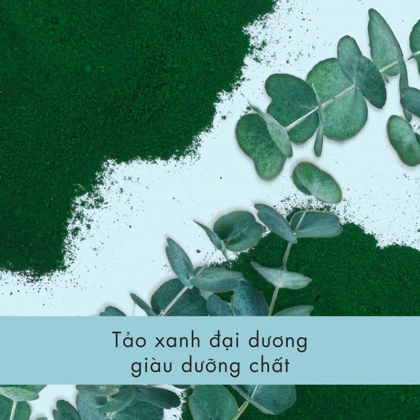 Dầu xả tảo biển dưỡng ẩm Love Beauty and Planet 400 ml | BigBuy360 - bigbuy360.vn