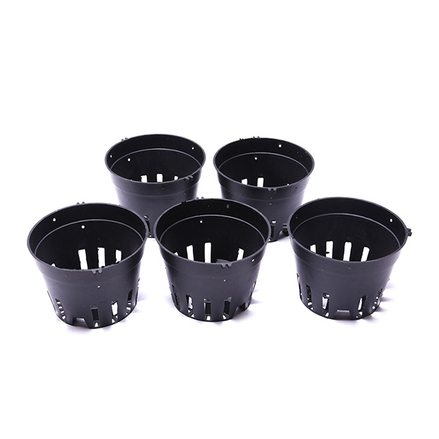 [Giá hủy diệt] combo 2 cốc mô trồng lan nhựa đen mới ra chai chỉ 1 ngàn đồng siêu rẻ