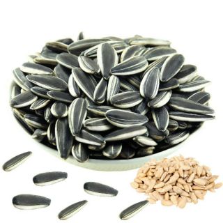 Hạt Hướng Dương 500g, Chắc Hạt