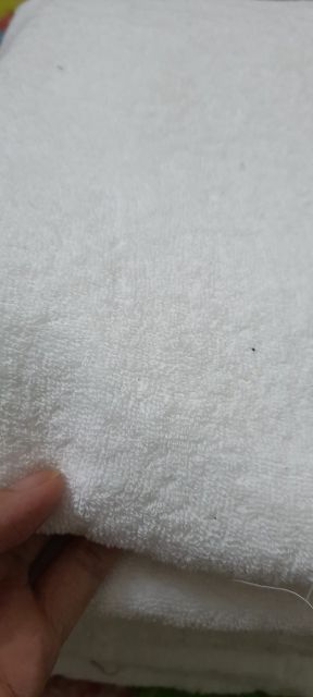 [35x75cm] Khăn tập gym, trải gối spa cotton sợi se xuất Nhật