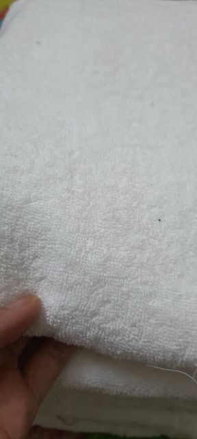 Khăn tập gym, trải gối spa cotton sợi se xuất Nhật