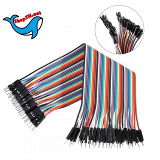 Dây Cắm Test Board 20cm 40 Sợi