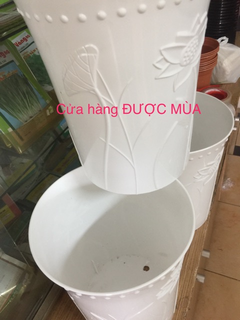 Bộ 3 chậu nhựa dáng cao hoa sen nổi 22x26cm