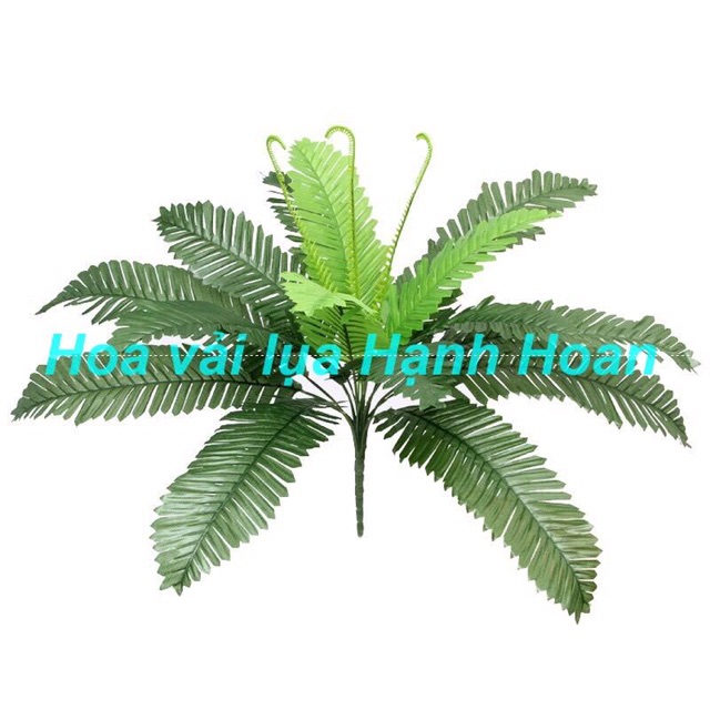 Cây vạn tuế ( dương xỉ) 12 nhánh - Cây giả