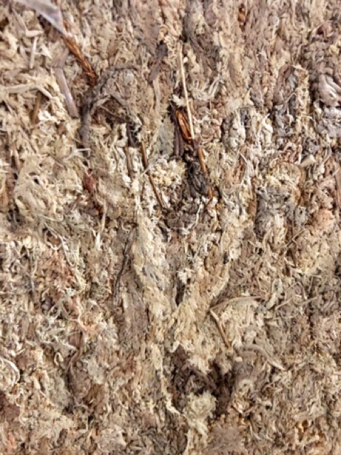 RỚN CHILE TRỒNG LAN 500gr