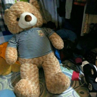 Gấu bông Teddy khổ 1m2 siêu đẹp