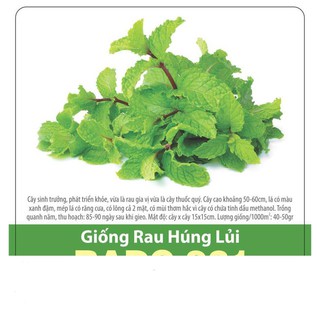 Hạt Giống Rau Húng Lủi ( Bạc Hà Âu) Thơm Ngon
