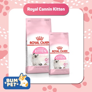 Thức ăn hạt mềm cho mèo con royal canin kitten 400gr - 2kg