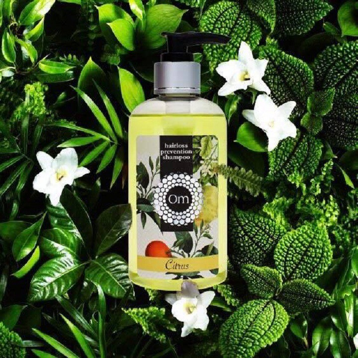 Dầu gội trị rụng và kích mọc tóc [CÓ TEM CHỐNG HÀNG GIẢ] | BigBuy360 - bigbuy360.vn