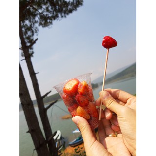 MUỐI XÍ MUỘI đặc sản Đà Lạt 100gram
