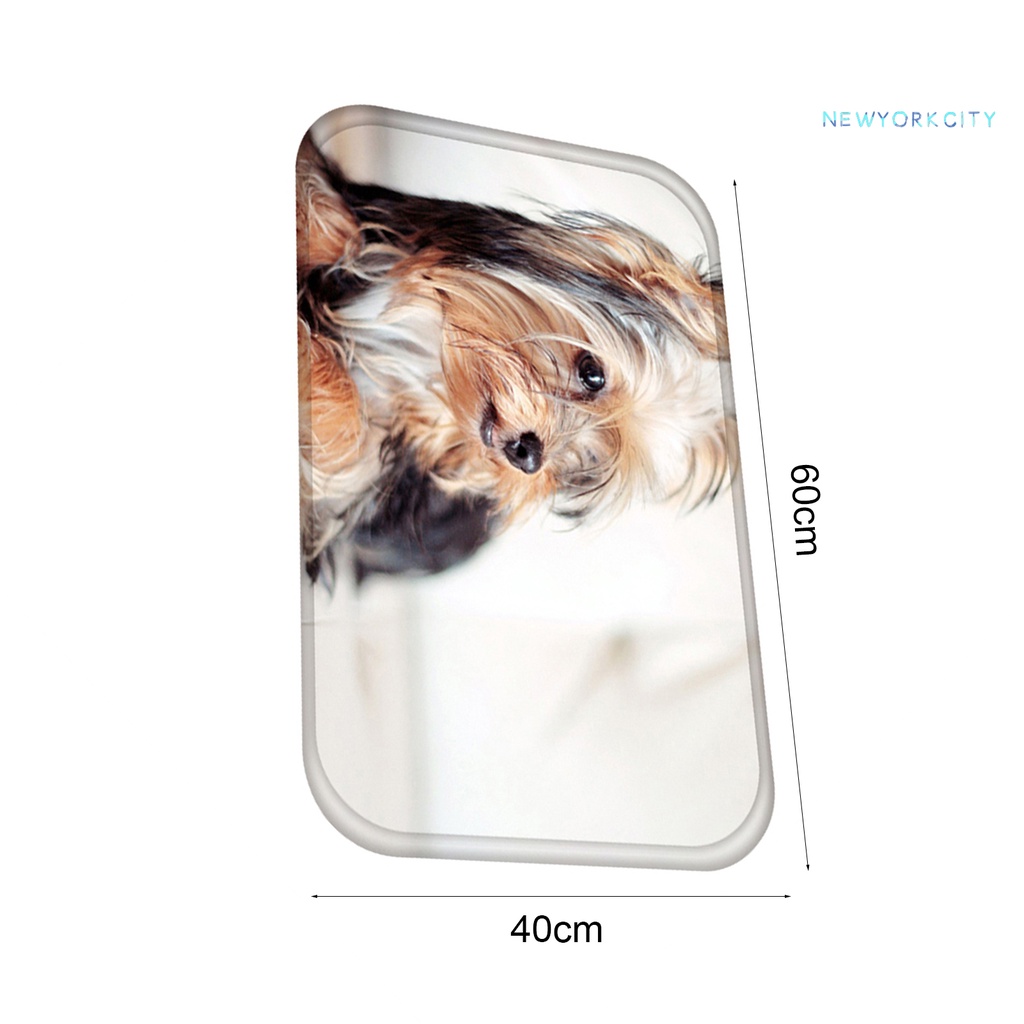 Thảm Chùi Chân Chống Ẩm Siêu Thấm Hút Tiện Dụng Cho Gia Đình