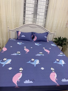 Bộ ga gối cotton Hàn Quốc