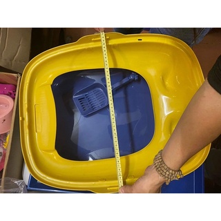 CHẬU CÁT MÈO SIZE LỚN