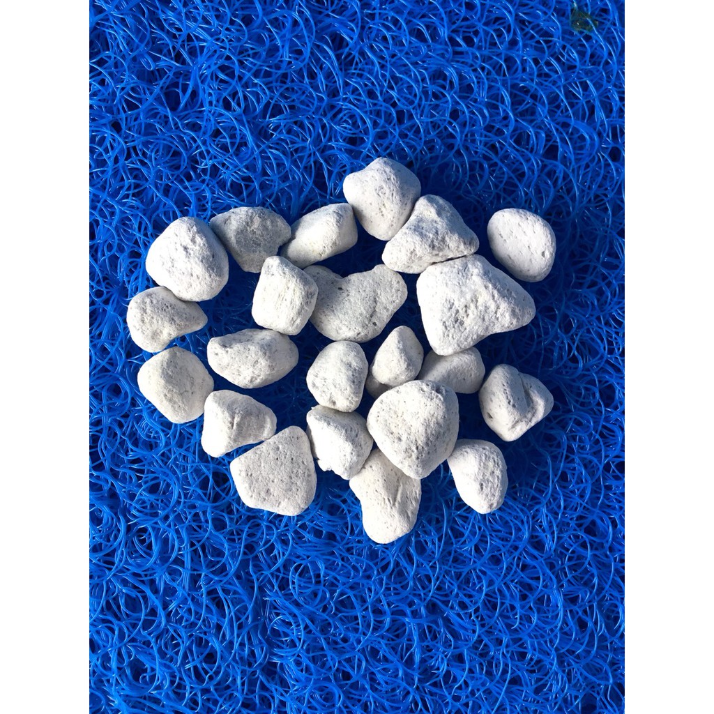 Vật Liệu Lọc Nước Hồ Cá BACT ROX L CONTINUUM