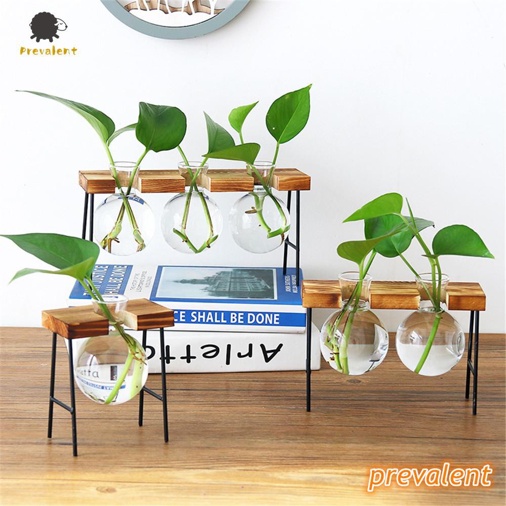 Lọ Kính Trồng Cây Thủy Canh Kèm Khung Gỗ Phong Cách Cổ Điển Dùng Trang Trí Bàn Làm Việc