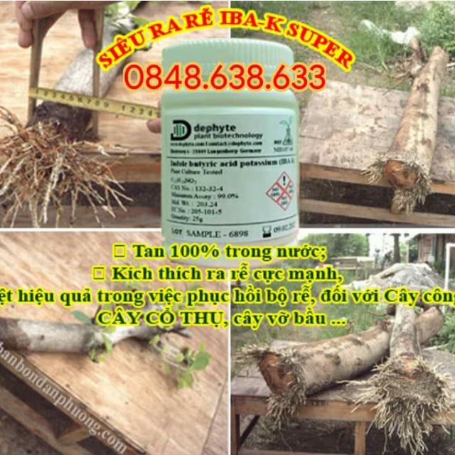 Siêu kích rễ IBA K SUPER Nhập Khẩu Đức
