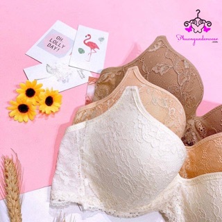 ÁO NGỰC REN MÚT MỎNG LOVELY 291