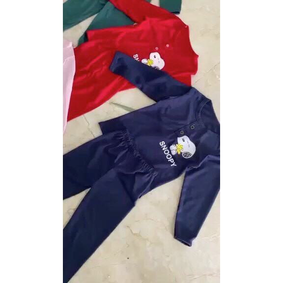 Bộ cotton thun dài tay cổ trụ 2 cúc in hình Snoopy cho bé trai, bé gái xịn xò cho bé trai/ bé gái từ 8-18kg