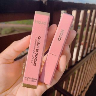 Son dưỡng hojo giá sỉ