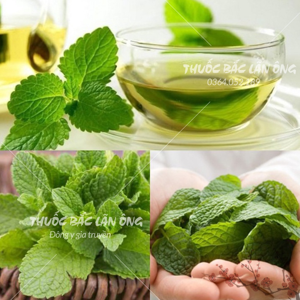 Lá bạc hà sấy khô 1kg (Xông hơi giải cảm, hỗ trợ tiêu hóa, thơm miệng)