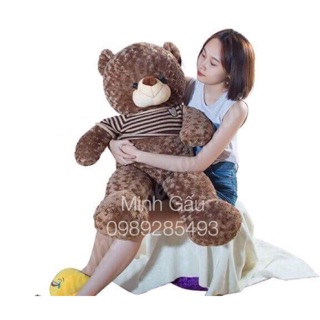 [rẻ bất ngờ] gấu bông TedDY khổ vải:1m2 cao:1cm