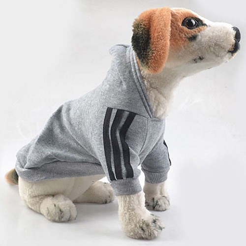 Áo khoác hoodie giữ ấm hợp thời trang cho thú cưng