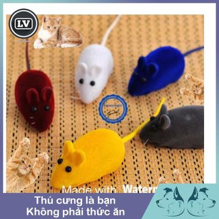 ĐỒ CHƠI CHO MÈO CHUỘT CHÍT CHÍU CHÍU Phụ kiện Long Vũ
