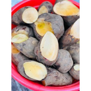 combo 5 ký khoai sâm (bị gãy do vận chuyển)