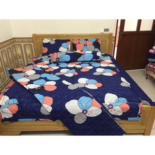 Bộ chăn ga gối cotton poly