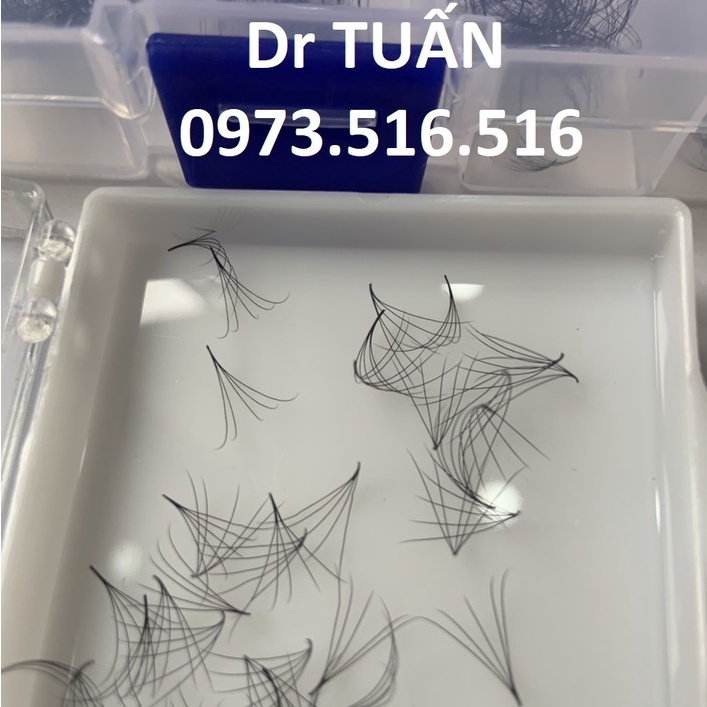 MI FAN 5D MIX (9-15) C,D 0.07 (1000fan)_dụng cụ nối mi_Dr Tuấn