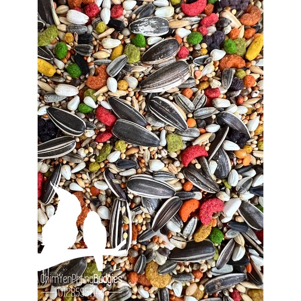 2kg thức ăn hạt hỗn hợp + Zupreem [Zupreem Mix Seed] cho Vẹt Lovebird • Cockatiel • Parrotlet.