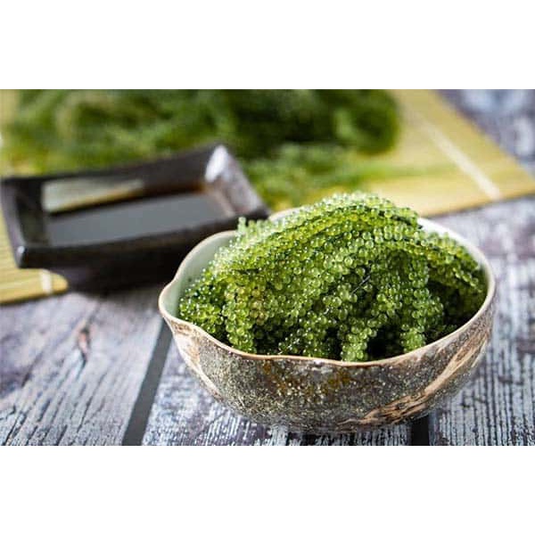 Rong Nho Tách Nước Tươi Tasami Giàu Dinh Dưỡng  20g/ gói