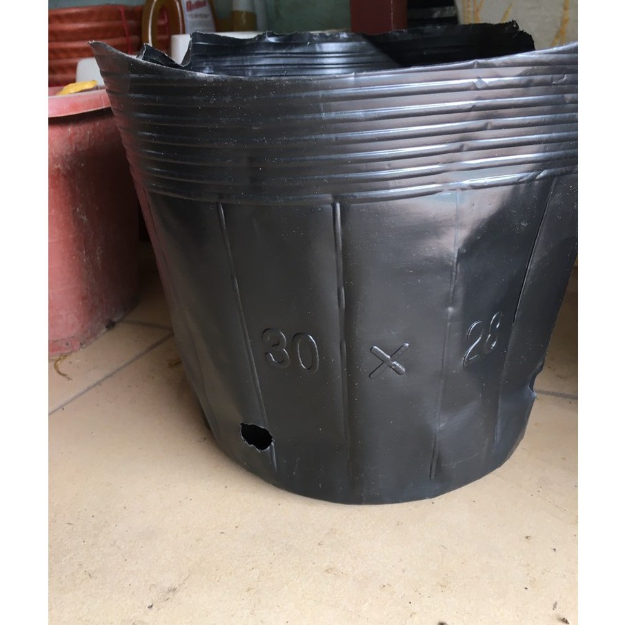 10 TÚI BẦU ƯƠM CÂY GIỐNG NHIỀU KÍCH CỠ