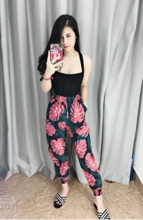 Sỉ Quần bo chun gấu