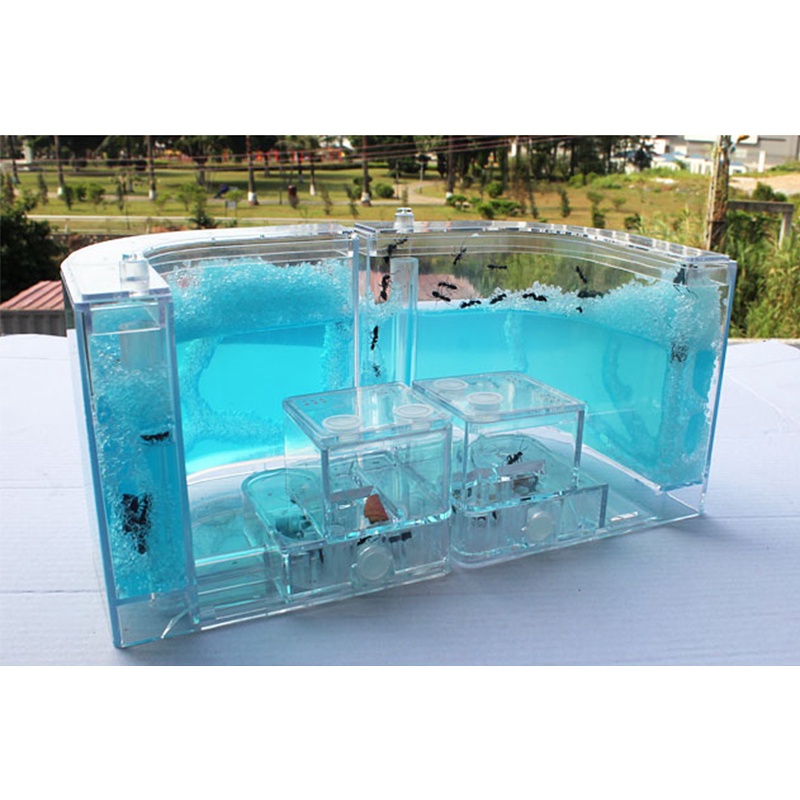 Mô Hình Lâu Đài Kiến Đồ Chơi Cho Bé