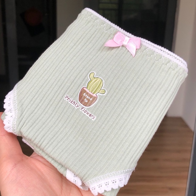 [Có video sản phẩm] Set 4 quần lót cotton tăm hoạ tiết dưa hấu, xương rồng | BigBuy360 - bigbuy360.vn