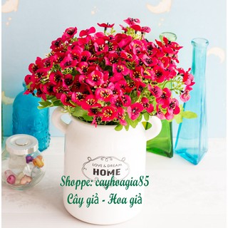 Hoa giả - Cành hoa cánh bướm