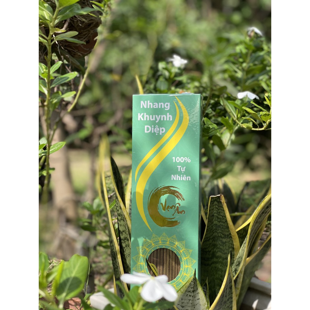 Nhang Khuynh Diệp 100% Organic Tẩy Uế Trừ Tà - Nhang Sạch Tự Nhiên Organic An Toàn Cho Người Sử Dụng -Hộp 100 và 160 Cây