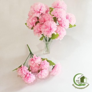 Bụi hoa cẩm tú cầu màu hồng - bụi lớn gồm 7 bông to