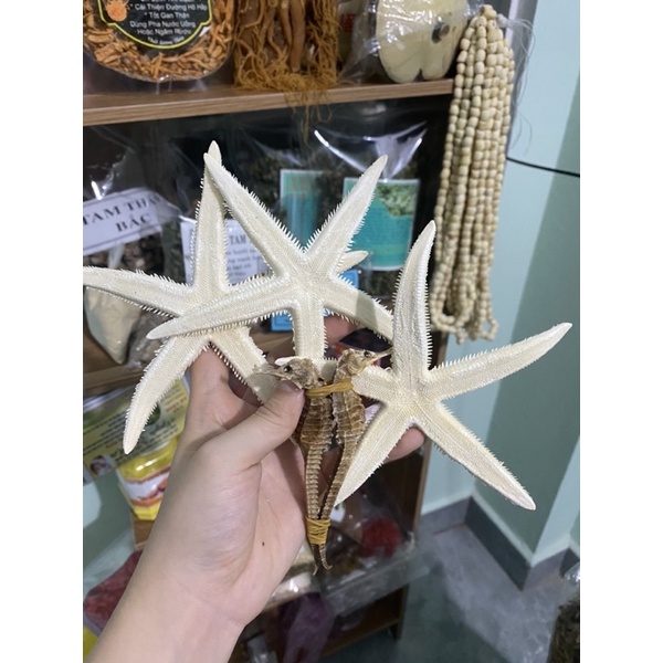 SET NGÂM RƯỢU (2 CÁ NGỰA+3 SAO BIỂN TO)+ TẶNG 100gram TÁO ĐỎ TÂN CƯƠNG